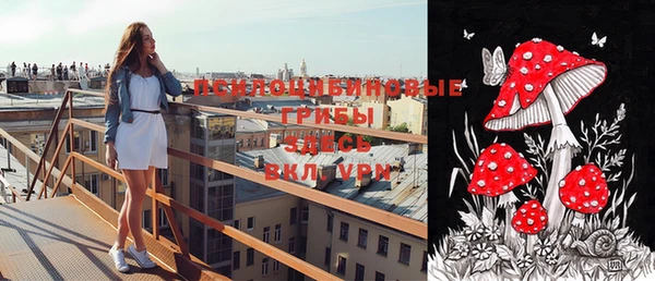 трава Аркадак