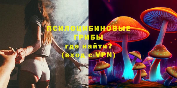трава Аркадак