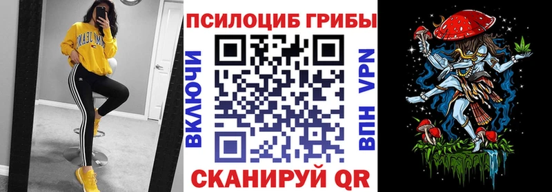 Галлюциногенные грибы GOLDEN TEACHER  Всеволожск 