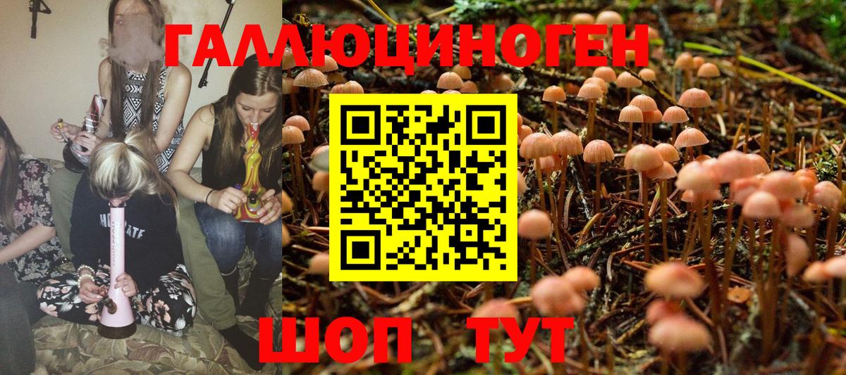 Галлюциногенные грибы Magic Shrooms  Вход с VPN  Всеволожск 
