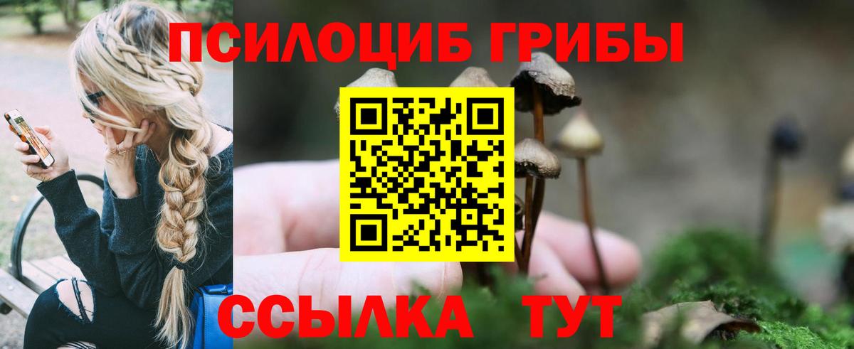 МЕФ   Бошки Шишки  Всеволожск  ГАШ  Вход с VPN 